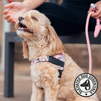 Dog Friendly Co. Dog Harness for Small Dogs (Pink Camo, Extra Small) | One Click Buckle, Chafe Resistant Webbing, Adjustable Neck & Chest, and Heavy Duty D-Ring, Sturdy Comfortable and Easy to Use