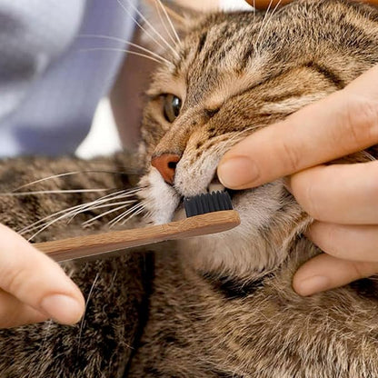 H&H Pets Bamboo Toothbrush Set for Dogs and Cats - Ultra Soft Bristles & Biodegradable Wooden Toothbrush, Puppy Supplies, Dog Dental Set, Eco-Friendly Pet Supplies (Small; 8-Count Pack)