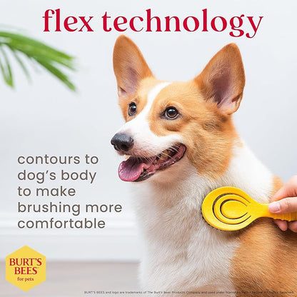 Burt’s Bees for Pets Porcupine Bristle Brush for Puppies and Small Dogs with Handle Made from Recycled Plastics Collected from Coastal Communities | Flex-head Grooming Brush for Dogs