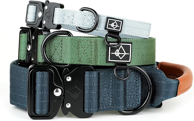 Made to ROAM Premium Dog Collar - Adjustable Heavy Duty Nylon Collar with Quick-Release Metal Buckle (Washington Rain, Classic Size 3)