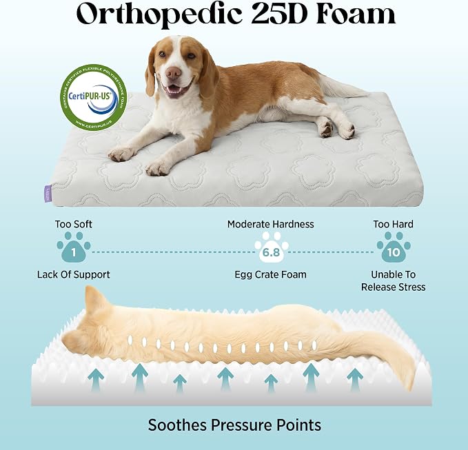 LE SURE ApexCloud™ Cooling Dog Bed for Large Dogs with Washable Cover,35IN | Q-Max>0.5 Cool-Touch Fabric, Orthopedic Egg Crate Foam,Breathable Non-Slip Summer Mat,For Active Senior Long-Haired Pets,Grey