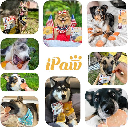 iPaw Dog Treats for Puppy Training, All Natural Human Grade Dog Treat, Hypoallergenic, Easy to Digest (Chicken Chips), 2 Packs
