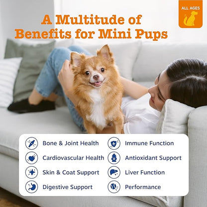 Zesty Paws Dog Multivitamin, Chewable Dog Vitamins and Supplements for Hip & Joints, Skin & Coat, Omega 3 Fish Oil for Dogs- Senior & Puppy Multivitamin - Chicken Mini Bites- 90ct