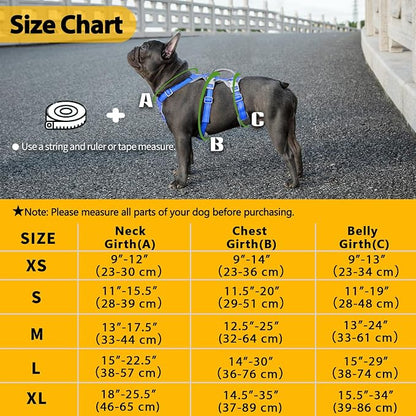 Escape Proof Dog Harness,No Pull Reflective Harness with Lift Handle,Adjustable Pet Vest with Front and Back Leash Clips for Small Medium Large Dogs Walking Hiking Training (Sea Blue,XL)