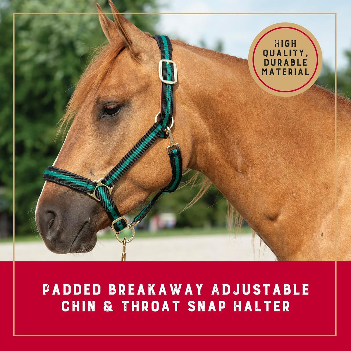 Weaver Equine Breakaway Horse Halter, Comfort Foam Padding, Adjustable Chin & Throat Snap Halters for Horses, Equine Tack,Average Size, Green