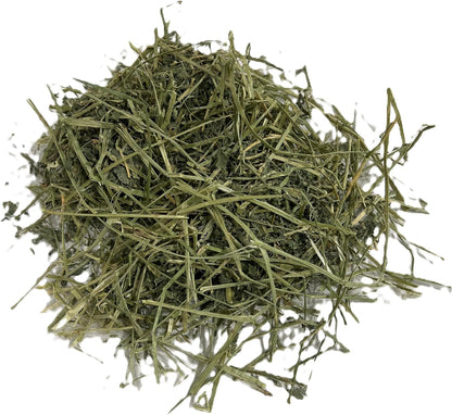 Blue Mountain Hay | Fresh Alfalfa Hay (48 Ounce) | High Leaf Retention | Nutritious High-Altitude Hay Pet Food for Rabbits, Guinea Pigs, Chinchillas, Hamsters, and Other Small Pets