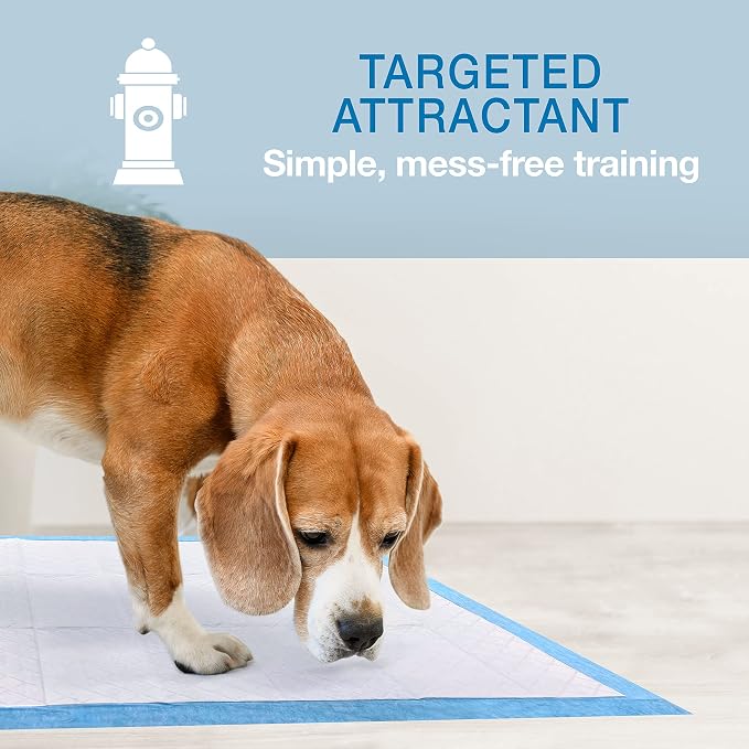 Four Paws Wee-Wee Superior Performance Gigantic Dog Pee Pads, 50 Count | Puppy & dog potty training pads, all day floor protection, housebreaking pet supplies, leak-proof puppy pads, 27.5" x 44"