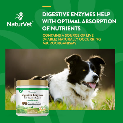 NaturVet – Digestive Enzymes - Plus Probiotics & Prebiotics – Helps Support Diet Change & A Healthy Digestive Tract – for Dogs & Cats (Soft Chews, 120 Count)