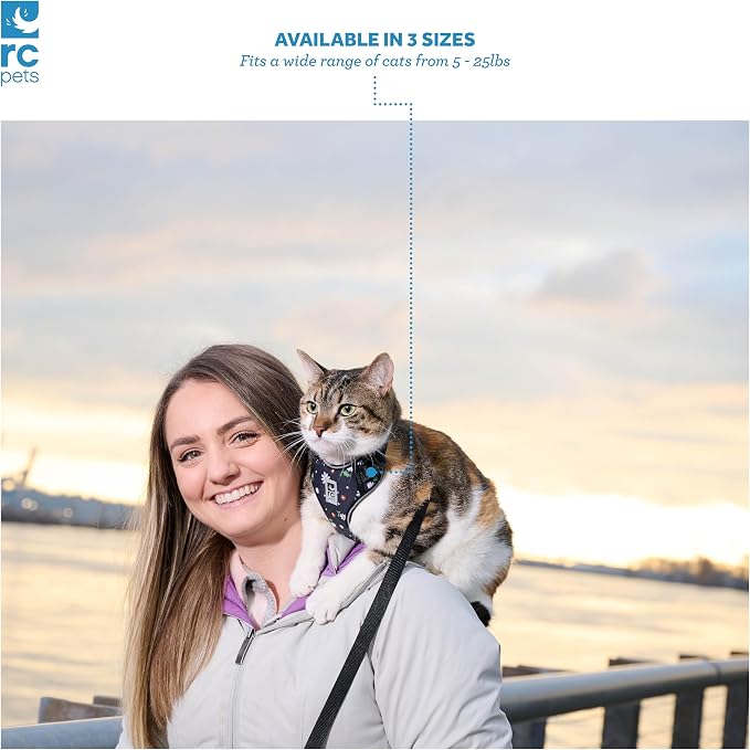 RC Pets Adventure Kitty Cat Harness | Adjustable Airmesh Vest with D-Ring and 6ft Leash for Walking and Travel | Trail Badges, Medium