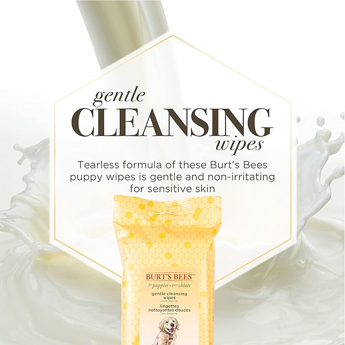 Burt's Bees for Pets Gentle Cleansing Puppy Wipes with Buttermilk, 98% Natural Origin Formulas, Hypoallergenic Dog Wipes Cleaning, Dog Cleaning Wipes, Dog Wipes for Paws and Butt, 50ct