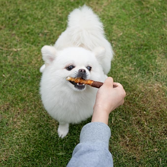 MON2SUN Dog Treats 5 Inch Double Flavor Chicken & Chicken Liver Wrapped Rawhide Sticks, Teeth Cleaning for Small Dogs, 10.6 oz (15 Count)