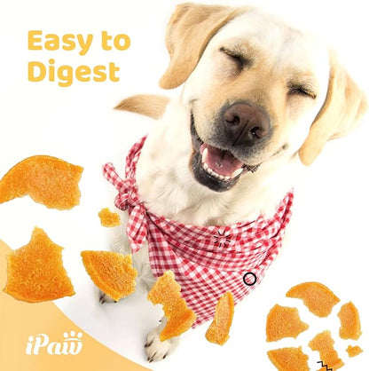iPaw Dog Treats for Puppy Training, All Natural Human Grade Dog Treat, Hypoallergenic, Easy to Digest (Chicken Chips), 2 Packs