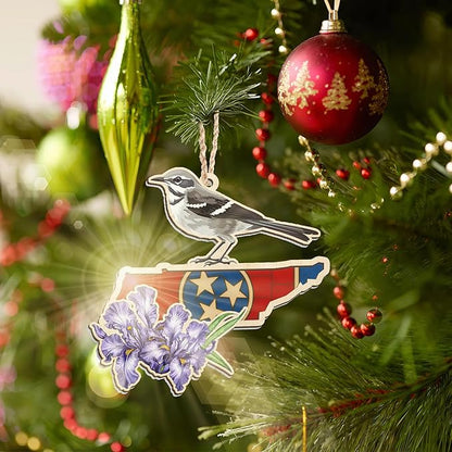 FLAGWIX Christmas Tennessee Gifts for Women Men - Suncatcher Tennessee Christmas Ornaments 2025 - State Ornaments for Tree with Mockingbird and Purple Iris, Xmas Decorations Gifts for Friend Family