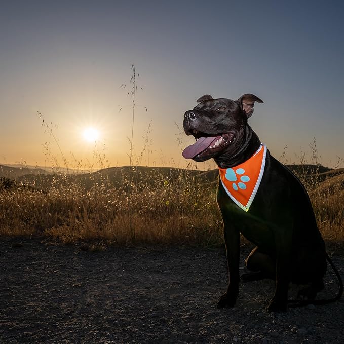 Bandana for Dogs. Blaze Orange Scarf with Reflective Collar is a Perfect Pet Bandana for Girl and Boy Dogs. Enhance Your Dog Walking Accessories with Our High-Visibility Adjustable Dog Handkerchief