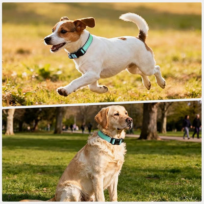 Reflective Dog Collar with Quick Release Buckle - Metal Ring - Adjustable Soft Neoprene Padded Basic Dog Collar for Small Medium Large Dogs (Teal, Small :Width 1",Neck 11.8-15.7")