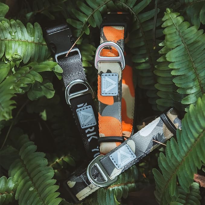 Soft Padded Dog Collar, Neck 9’’-14’’, Adjustable Heavy Duty Collar with 3M Reflective Logo for Small Dogs, Camo Orange, S