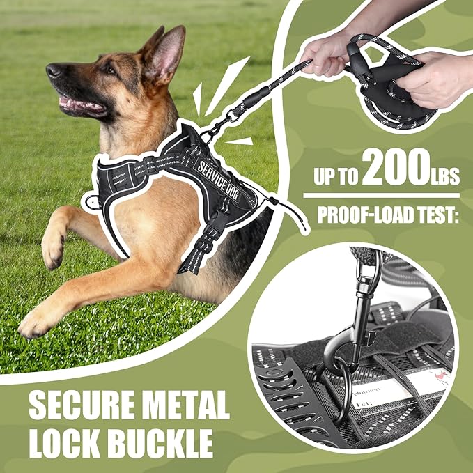 Service Dog Tactical Vest Harness and Leash Set Medium Sized Dog Emotional Support- Tactical Dog Harness Training Collar with Name (Black, M)