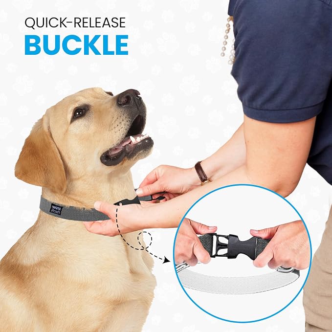 Hypoallergenic Dog Collar - Great for Sensitive Skin, Soft Collar for Dogs, Soft Organic & Earth Friendly (Small, Light Blue)