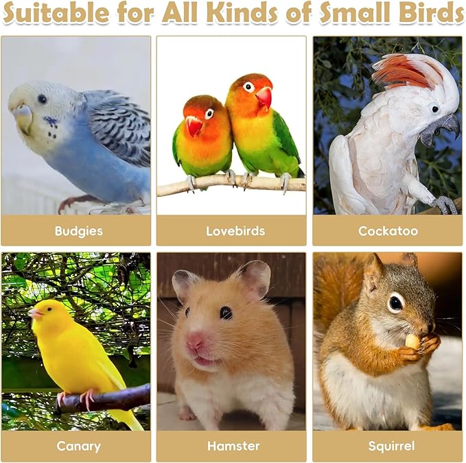 kathson 12 Pcs Wooden Bird Cage Platform Flat Birds Perch Stand Rectangle Parrot Perch with Washers for Bird Paw Grinding Cockatiel Cage Accessories for Parrot, Budgies, Conure, Lovebirds