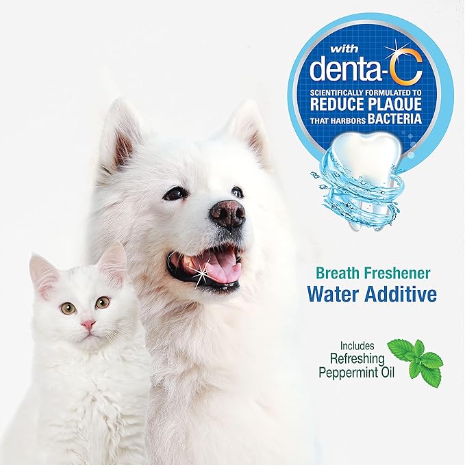 Nylabone Advanced Oral Care Pet Dental Water Additive, Liquid Tartar Remover & Breath Freshener for Dogs, Dog Teeth-Cleaning, Peppermint Flavor, 16 oz.