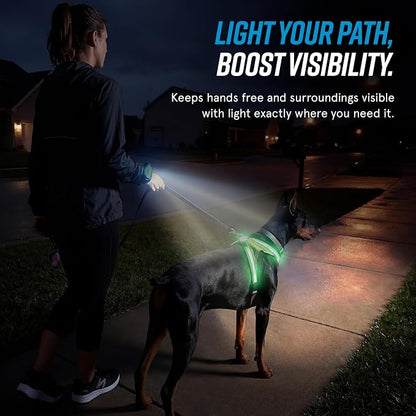 noxgear LightHound Light Up Reflective Dog Harness and Wrist Light, Medium | 360° Light Up Reflective Dog Harness, 8 Colors & 6 Modes, USB Rechargeable, Adjustable, Rainproof, LED Fiber Optic