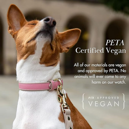 NINA WOOF Rio Vegan Leather Dog Collar - Padded Luxury Dog Collar with Adjustable Buckle - Collar for Dogs, Dog Collar for Small Dogs to Dog Collar for Large Dogs - Color Peach (Extra Small)