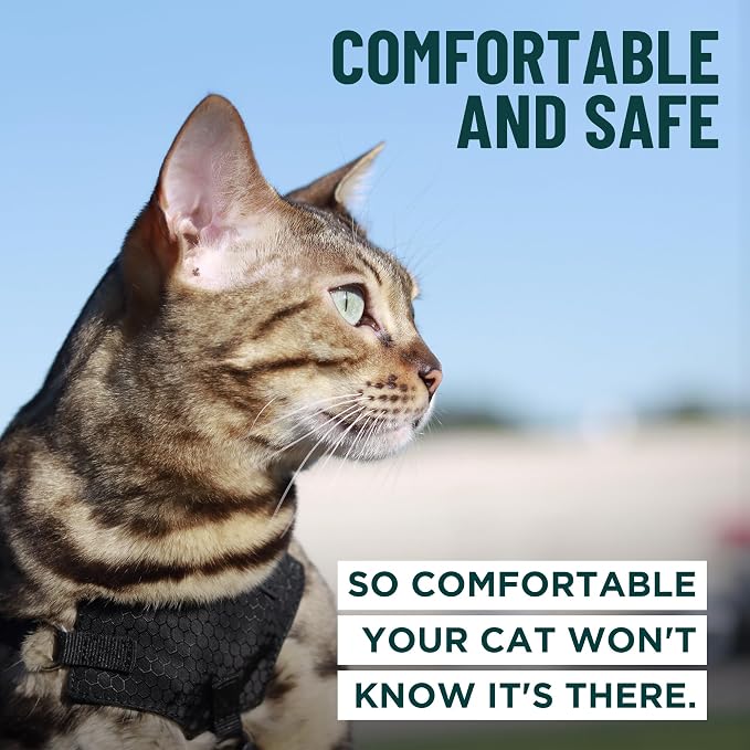 Houdini™ Escape Proof Kitten Harness + Leash (Multicolor, S) | Adjustable walking vest with 6ft lead, breathable mesh, snug secure fit, light and gentle for first outdoor adventures