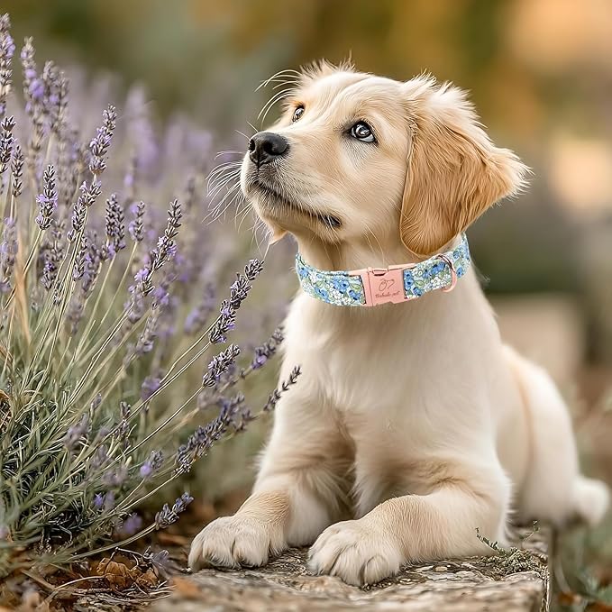 Blueberry Garden Dog Collar, Spring/Summer Cottagecore Floral Dog Collars, Adjustable Heavy Duty Girl Dogs Collar for Small Medium Large Dogs with Metal Buckle XL