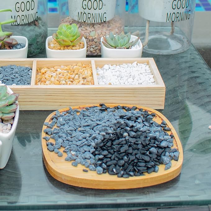 7lb Black Cactus Pea Gravel Rocks,1/4 Inch Pebbles for Indoor Plants, Natural Succulent Rock and River Rocks Decorative for Aquariums, Vases, Outdoor Gardening, Top Dressing for Potted Plants