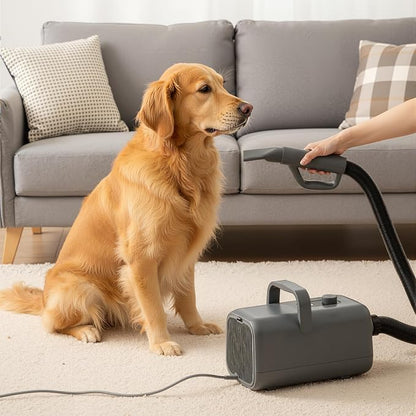 NEWBULIG Dog Hair Dryer with Heater for Grooming, Temperature Adjustable | 1550W High Velocity Speed Pet Blow Dryer with 4 Nozzles, Grey