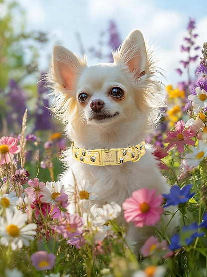 Yellow Bee Dog Collar, Cute Spring/Summer Cartoon Boy Girl Dog Collars, Adjustable Heavy Duty Male Female Dogs Collar for Small Medium Large Dogs with Metal Buckle S