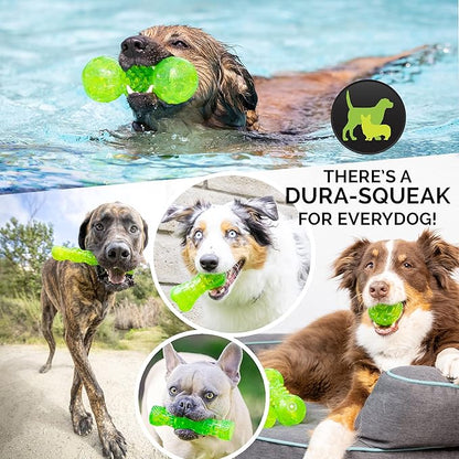 Hyper Pet DuraSqueaks Dog Toy Balls and Chews (Squeaky Dog Ball For Interactive Play – Floating Balls and Toys) - Medium Stick