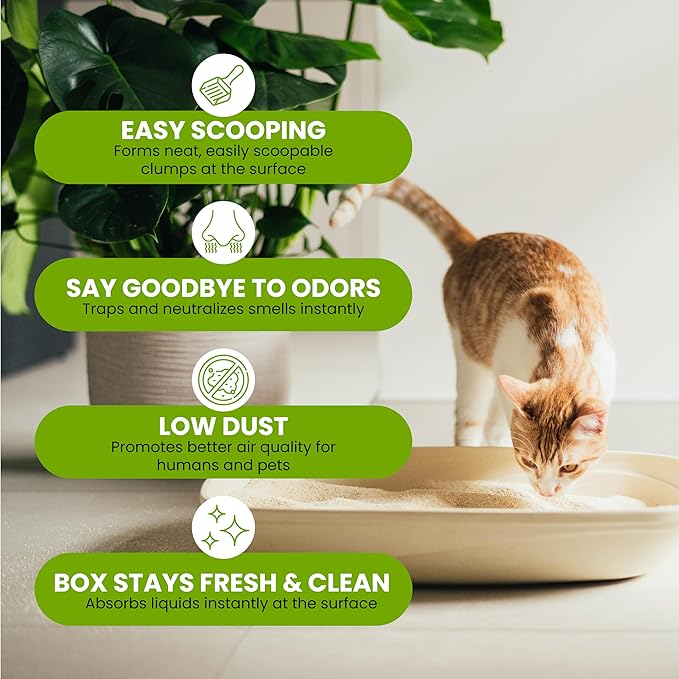 Natural Unscented Cat Litter - 10 lbs - Plant-Based, Clumping, Biodegradable, Non-Toxic, Compostable, Eco-Friendly, Odor Control, Low Dust, Safe for Cats & Kittens. (Pack of 2)