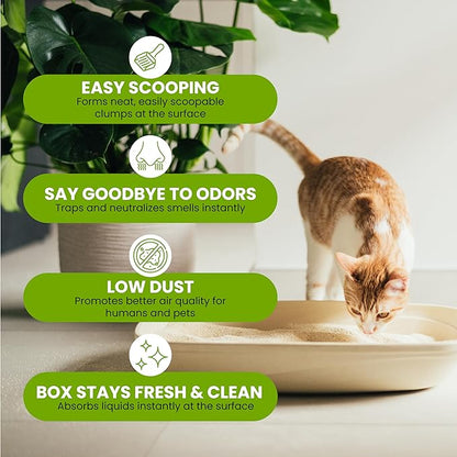 Natural Unscented Cat Litter - 10 lbs - Plant-Based, Clumping, Biodegradable, Non-Toxic, Compostable, Eco-Friendly, Odor Control, Low Dust, Safe for Cats & Kittens. (Pack of 2)