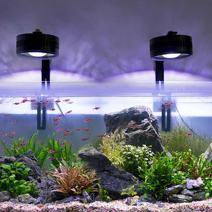 AQQA Aquarium Clip-On Stream Light with Controller, LED Fish Tank Light with 3 Modes (White/RGB/Full Spectrum), Timer & 6 Brightness Levels, Adjustable Clamp for Freshwater Plants Fish Tanks 60W