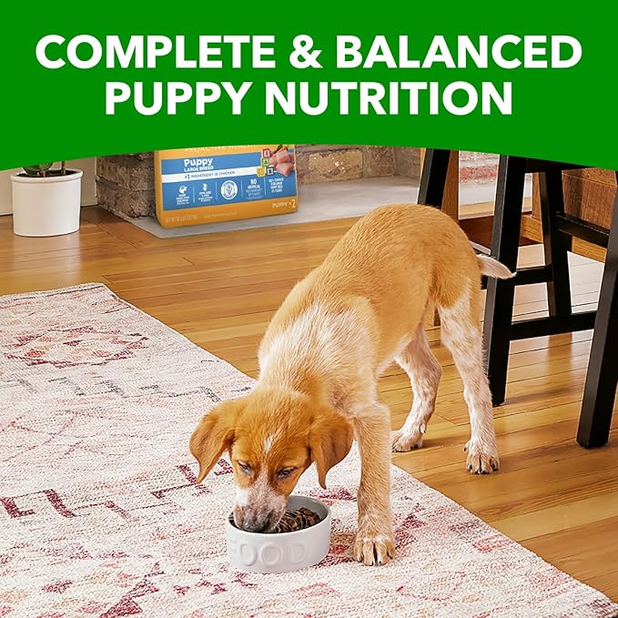 IAMS Proactive Health Large Breed Puppy Food with Real Chicken, 30.6 lb. Bag