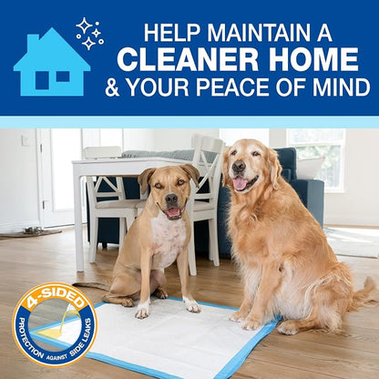 Four Paws Wee-Wee Superior Performance X-Large Dog Pee Pads, 21 Count | Puppy & dog potty training pads, housebreaking supplies, xl puppy pads, pet supplies, 24-hour floor protection, 28" x 34"