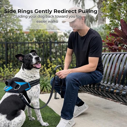 ShawnCo Essential Dog Harness, No-Pull Pet Vest (White Sharks,XS) | 3 Leash Clips, Easy On, No-Choke, Reflective, Adjustable Fit, Padded Comfort, Control Handle, For Small, Medium & Large Dogs