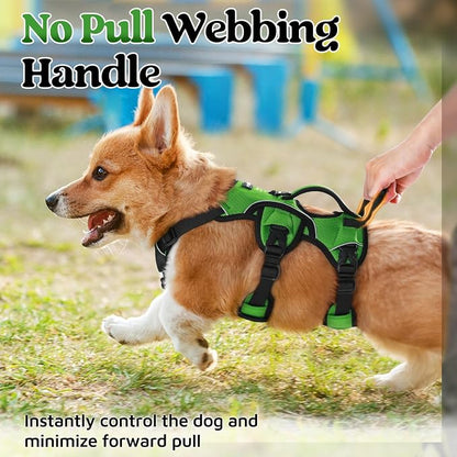 rabbitgoo Escape Proof Dog Harness for Small, No Pull with Lift Handle | No Escape, Full Soft Padded, Reflective Adjustable Vest, Leash Clip for Walking Hiking Training, Green, Small