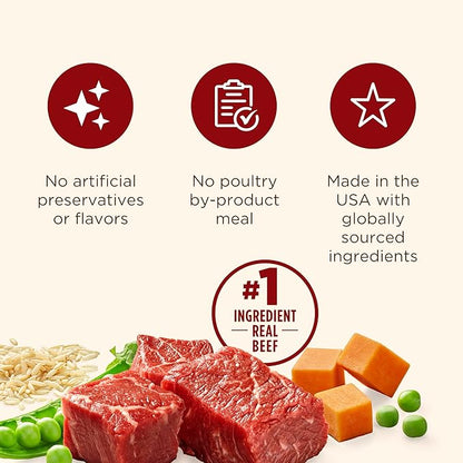 Nutrish Real Beef & Pumpkin Recipe Whole Health Blend Premium Paté Wet Dog Food, 13 oz. Can, 12 Count, Packaging May Vary (Rachael Ray)