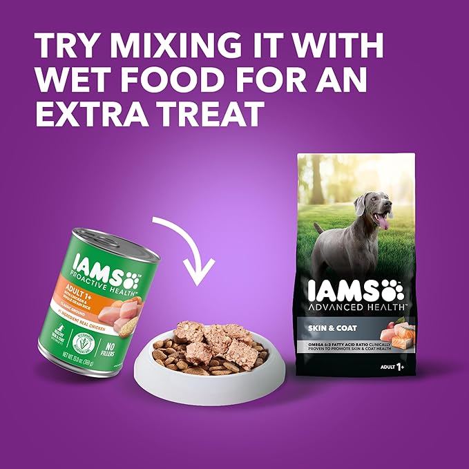 IAMS Advanced Health Skin & Coat Adult Dry Dog Food Chicken and Salmon Recipe, 13.5 lb. Bag