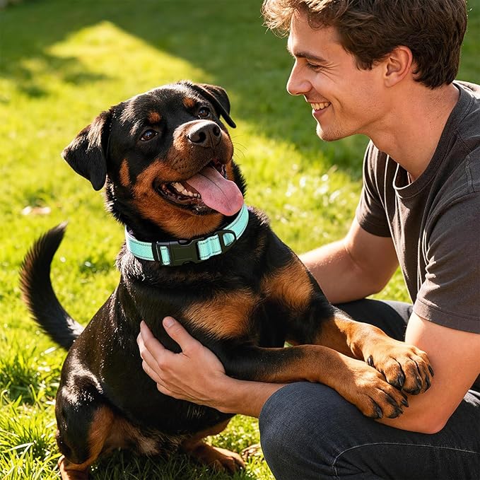 Reflective Dog Collar with Quick Release Buckle - Metal Ring - Adjustable Soft Neoprene Padded Basic Dog Collar for Small Medium Large Dogs (Teal, Small :Width 1",Neck 11.8-15.7")