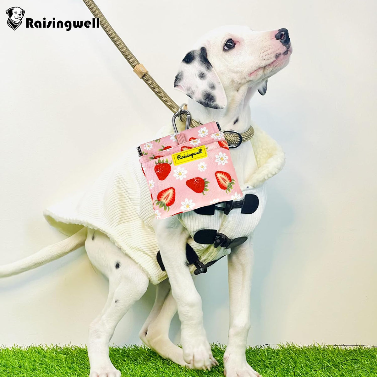 Dog Treat Pouch,Cotton Pocket Sized Training Holder, Hand Free Walking Funny Bag with Carabiner, Self-Closing Pet Feed Snack Reward, Behavior Aids for Puppy Travel or Outdoor Use（Strawberry）