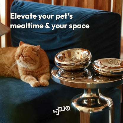 Pebble Pet Bowl Deep Chrome, Ergonomic Dog Cat Feeding Bowl, Flat-Faced Breed, Tilted Ceramic Pet Food Dish, Scooper Eater, Anti-Spill Design, Dishwasher Safe, Modern Pet Bowl, Dry & Wet Diet