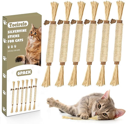 Tocirelo Silvervine Sticks Cat Toys - 6Pack Natural Cat Chew Toy Teeth Cleaning, Matatabi Dental Care Kitten Treat, Catnip Cat Teething Toys, Catmint Silver Vine Sticks for Bored Indoor Kitty