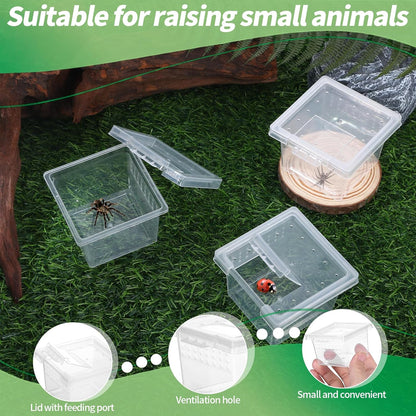 10Pcs Plastic Critter Keeper,Transparent Cricket Keeper for Reptiles,Mini Reptile Feeding Box Kids Bug Catching Kit Suitable for Crickets Scorpions Frogs Centipedes Lizards PP Breeding Box