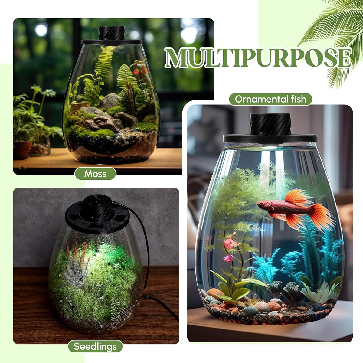 Maxdot Glass Plant Terrarium Kit with Light for Succulent, Moss, Miniature Gardening Landscape, Betta Fish Tank, Office Home Decoration, Plant Lovers Gifts (6.9 x 7.8 Inch)