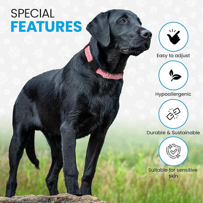 Hypoallergenic Dog Collar - Great for Sensitive Skin, Soft Collar for Dogs, Soft Organic & Earth Friendly (Large, Grey)