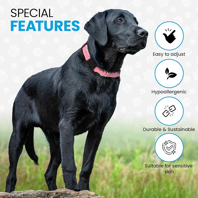 Hypoallergenic Dog Collar - Great for Sensitive Skin, Soft Collar for Dogs, Soft Organic & Earth Friendly (Small, Light Blue)