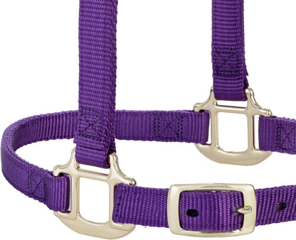 Weaver Equine Breakaway Horse Halter, Supple Leather Crown, Adjustable Chin & Throat Snap Halters for Horses, Equine Tack